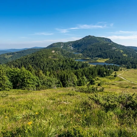 Německo